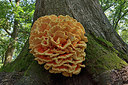 BUITEN BEELD Foto: 283243