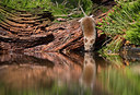 BUITEN BEELD Foto: 283249