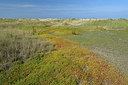 BUITEN BEELD Foto: 283250
