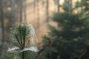 BUITEN BEELD Foto: 283284