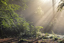 BUITEN BEELD Foto: 283289