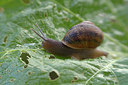 BUITEN BEELD Foto: 283292