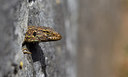 BUITEN BEELD Foto: 283342
