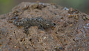 BUITEN BEELD Foto: 283344