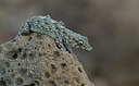 BUITEN BEELD Foto: 283346