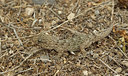 BUITEN BEELD Foto: 283347