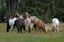 BUITEN BEELD Foto: 283348