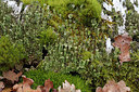 BUITEN BEELD Foto: 283362