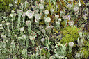 BUITEN BEELD Foto: 283364