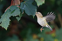 BUITEN BEELD Foto: 283391