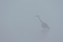BUITEN BEELD Foto: 283393