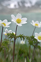 BUITEN BEELD Foto: 283401