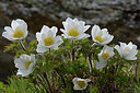 BUITEN BEELD Foto: 283403
