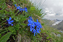BUITEN BEELD Foto: 283405