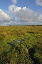 BUITEN BEELD Foto: 283451