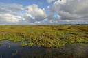 BUITEN BEELD Foto: 283452