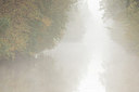 BUITEN BEELD Foto: 283460