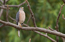 BUITEN BEELD Foto: 283473