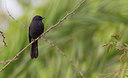 BUITEN BEELD Foto: 283476