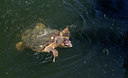 BUITEN BEELD Foto: 283520