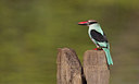 BUITEN BEELD Foto: 283525