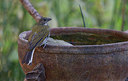 BUITEN BEELD Foto: 283532