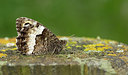 BUITEN BEELD Foto: 283543