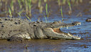 BUITEN BEELD Foto: 283557