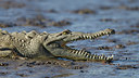 BUITEN BEELD Foto: 283558