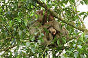 BUITEN BEELD Foto: 283567