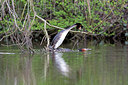 BUITEN BEELD Foto: 283662