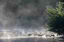 BUITEN BEELD Foto: 283697
