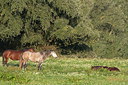 BUITEN BEELD Foto: 283699