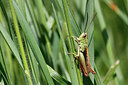 BUITEN BEELD Foto: 283707