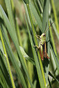 BUITEN BEELD Foto: 283708
