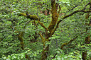 BUITEN BEELD Foto: 283713
