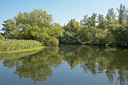 BUITEN BEELD Foto: 283721