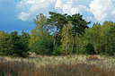 BUITEN BEELD Foto: 283739