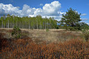BUITEN BEELD Foto: 283741