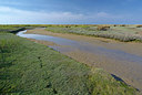 BUITEN BEELD Foto: 283757