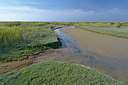 BUITEN BEELD Foto: 283758