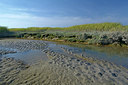 BUITEN BEELD Foto: 283759