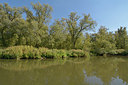 BUITEN BEELD Foto: 283767