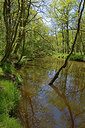 BUITEN BEELD Foto: 283776