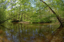 BUITEN BEELD Foto: 283779