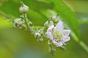 BUITEN BEELD Foto: 283791