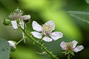 BUITEN BEELD Foto: 283792