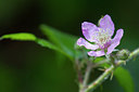 BUITEN BEELD Foto: 283799