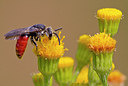 BUITEN BEELD Foto: 283803