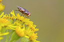BUITEN BEELD Foto: 283806